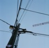 City Lines Pole